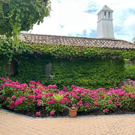 Villa Montana Ґерардсберґен Екстер'єр фото
